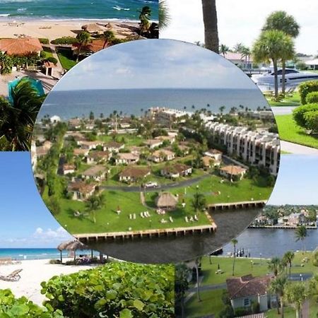 Royal Flamingo Villas Хилсбъро Бийч Екстериор снимка